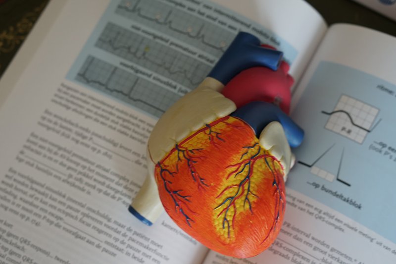 Find Illustrators Perfect For Your Project: Top Sites in 2023 5 medical illustrations