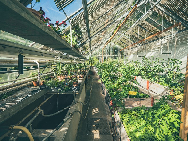 6 profitable graphic design niches for freelancers in 2023 4 environmental design