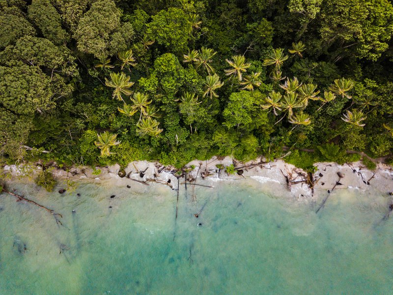 A Founders Guide to Santa Teresa, Costa Rica 2022 1 unsplash image e9e048094e3529b0c053e1174f094dd1 800
